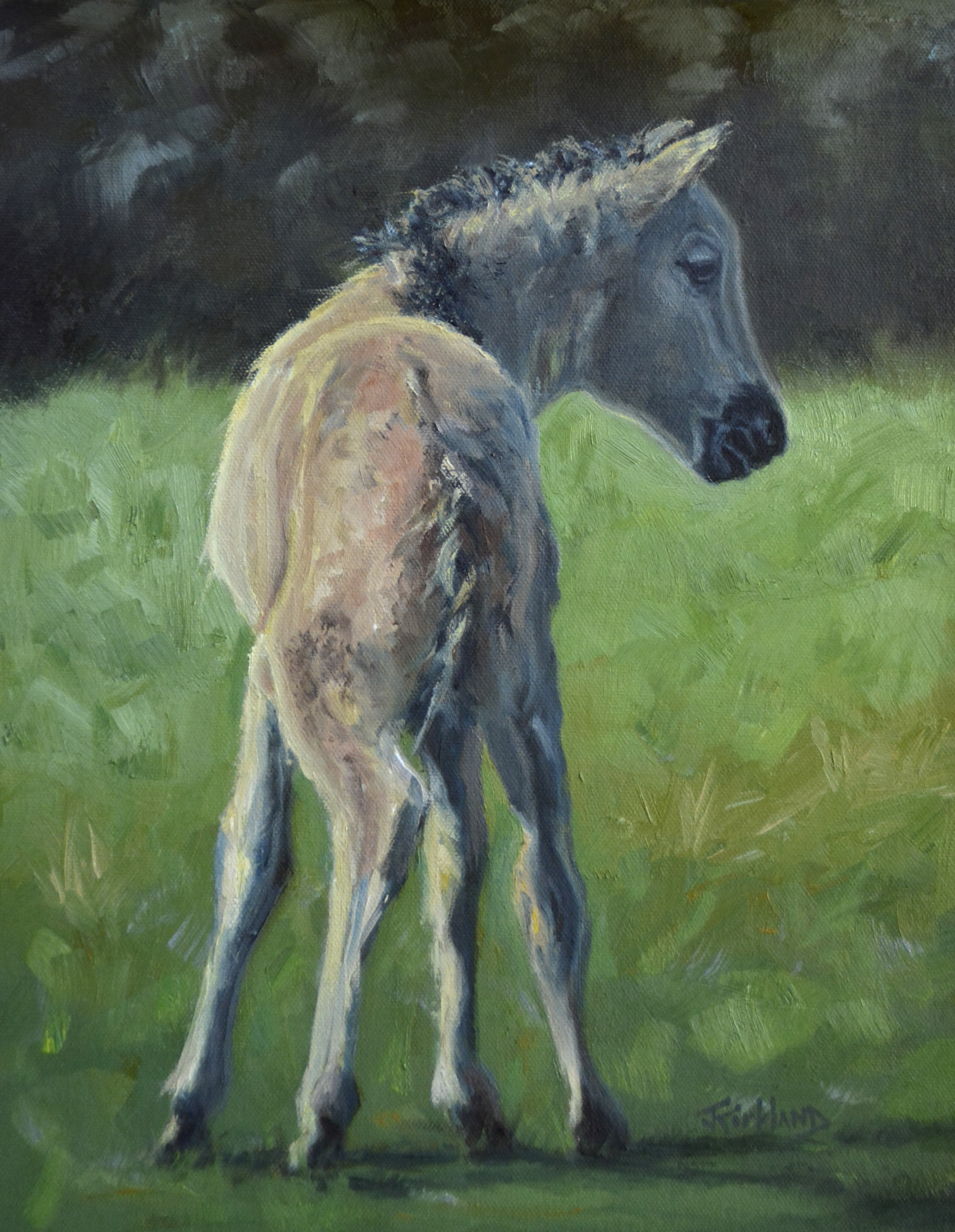 First Steps In The Meadow 14x11 $625 at Hunter Wolff Gallery